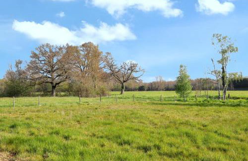 Appartement cosy à Mont-près-Chambord - 100 m² - Terrasse - Foto 26