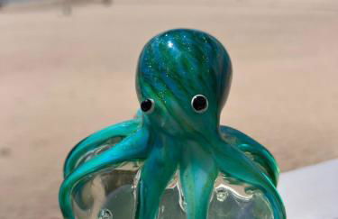 Les pieds dans l'eau - Carnon plage - Foto 17