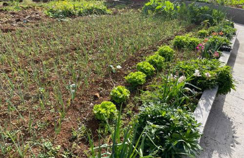 CASA CAROTO - Foto 16