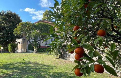 Casa Alice - Tranquilla Casa con Giardino - Photo 17