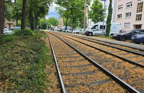 Familienfreundliche geräumige Design-Wohnung mit Balkon im Zentrum - APOLONIAliving - Foto 70