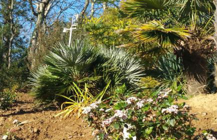 Villa les Agapanthes avec piscine et SPA chauffée dans votre appartement - Foto 33