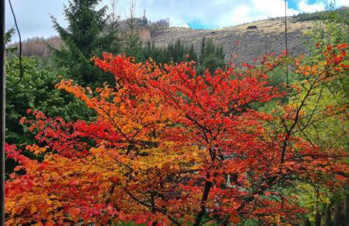 Holiday home in Ramsbeck with garden - Foto 74