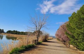 Dúplex Luxury Alfaro - Foto 42