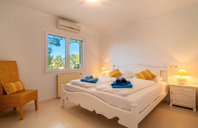 Orquidea 34 - Photo 11