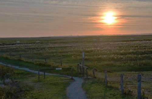 Seestern am Naturstrand - Foto 23
