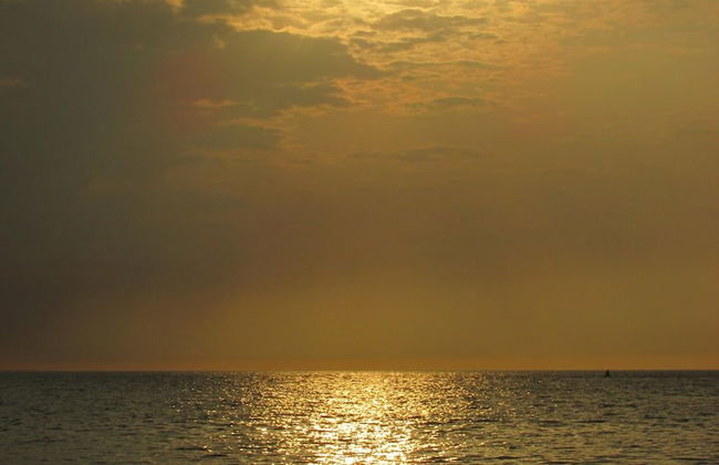 Clustiau'r Mor - Foto 28