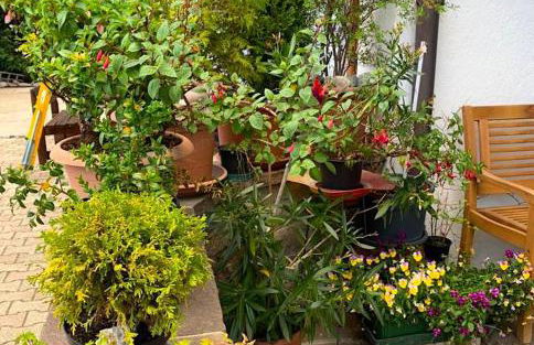 Appartments Bergluft - Foto 20