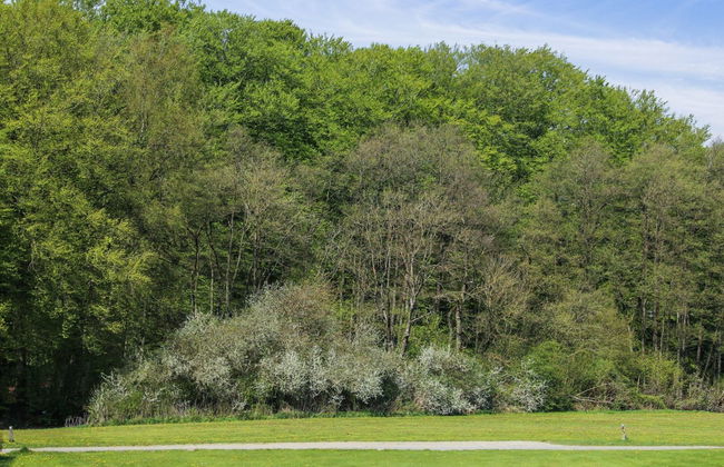 "Freding" - 250m to the fjord - Foto 20