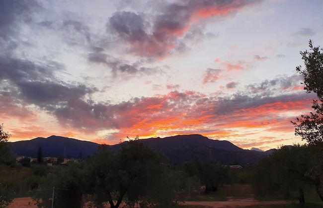 Agriturismo Corte Degli Ulivi - Foto 18