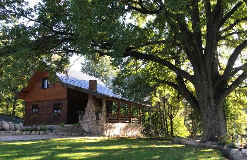 DOMEK POD DĘBEM - Foto 1