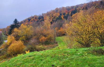 ECOLE de BELMONT - Foto 5