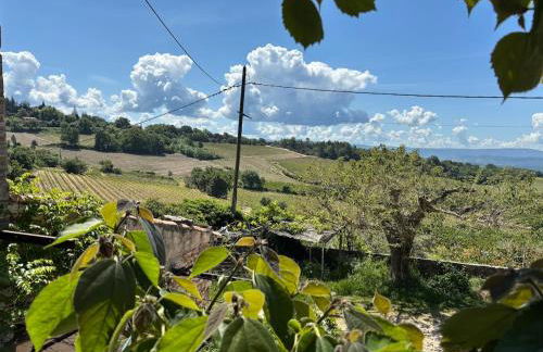 Maison sur la Route du Mont Ventoux - Photo 5