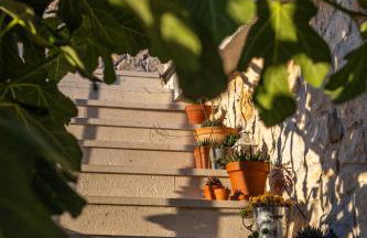 Villa Jokic Dvori ZadarVillas - Foto 10