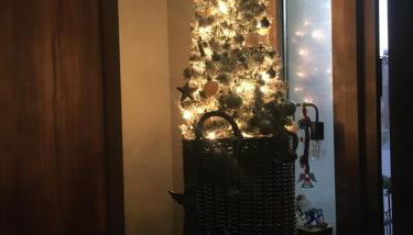 Blue Crystal View - Foto 4