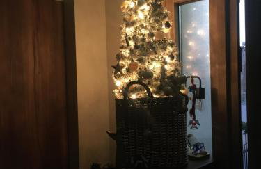 Blue Crystal View - Foto 4