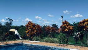 Rancho Bougainville - Foto 4