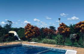 Rancho Bougainville - Foto 4