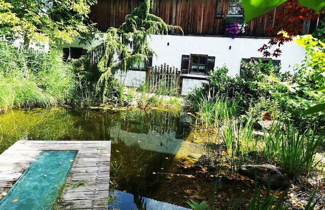 Apartment in Saalfelden Near Ski Slopes - Foto 17