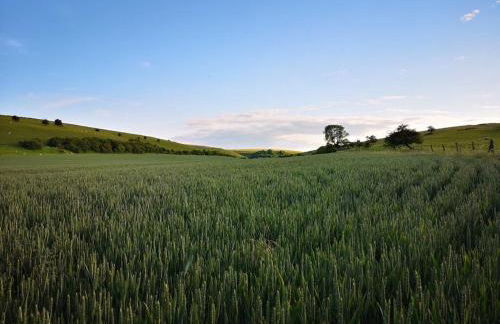 Kings Cottage - Heart of the Deverills - EV Point - Foto 40