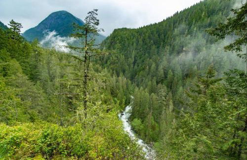 Cascade River Bungalow in the North Cascades - Foto 20