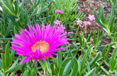 Room TARA Malinska - Foto 23