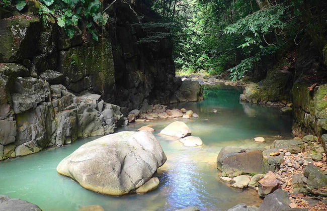 Gite Bois-Cannelle - Photo 21