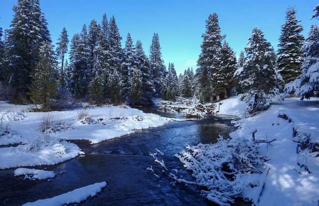 Tahoe Donner Delight - Foto 32