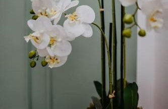 Charmante Ferienwohnung an der Feingießerei - Foto 31