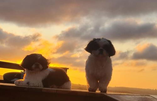 Chácara Arena JK com Piscina integrada com Sauna e Hidromassagem - Foto 43