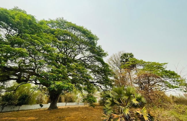 Salithyna villa - Foto 12