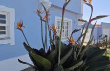 Ericeira -Oceonview Villa with Pool and Whirlpool - Photo 32