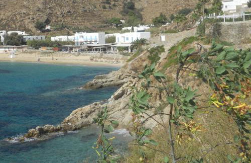 Charming House Platy Gialos - Foto 24