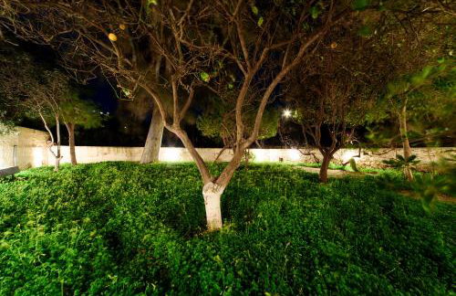 JASMINE OF POSEIDONIA - Foto 55