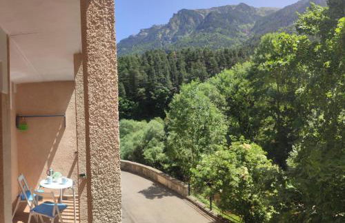 Carlina Canfranc - Foto 20