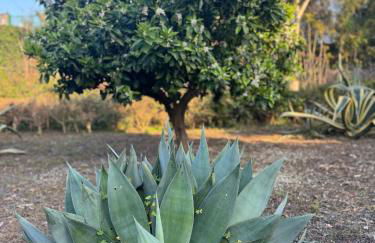 Green paradise with Etna view - Foto 32