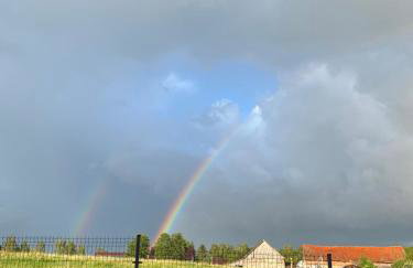 Białe Żagle Mazury - Foto 40