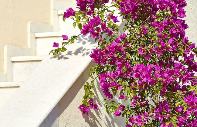 Le Blanc Suite - Photo 59