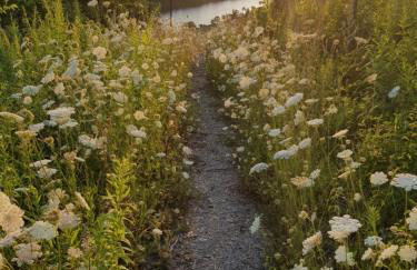 Apartment an der Mosel 1 - Foto 6