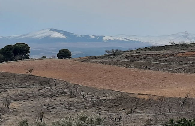 Casa Rural Garnacha de Borja has a Barbacue and Terrace - Foto 61