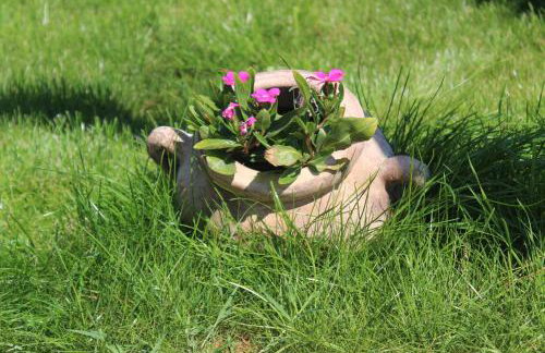 Villa Lente - Photo 17