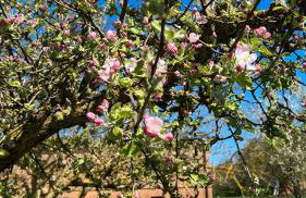 Strandnahe Fewo 1 - Foto 24