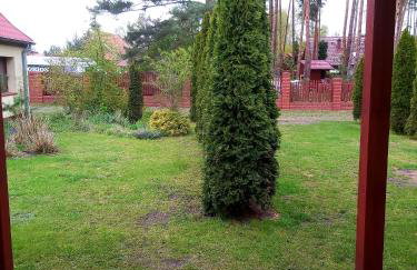 Drzewosfera - Foto 16