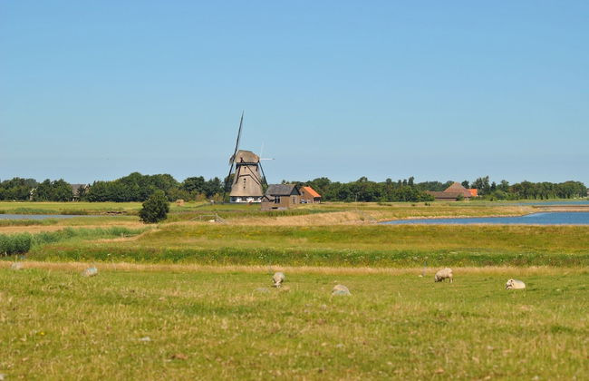 Lovely Holiday Home in Texel Near Sea - Foto 74