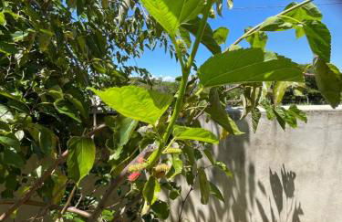 Chalé Arcos do Sol - Carrancas - Foto 10