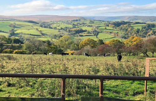 Fern Cottage - Foto 24