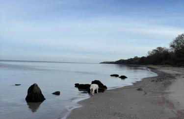 Kapitänshaus - Foto 24