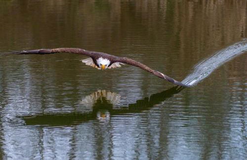 Paddler's Lane Retreat - Foto 65