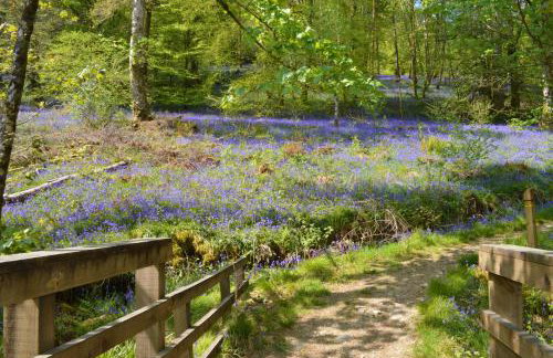 Glenbranter Cottage - Foto 2