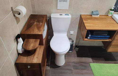 Appartement T2 sur cour nantaise - Photo 14